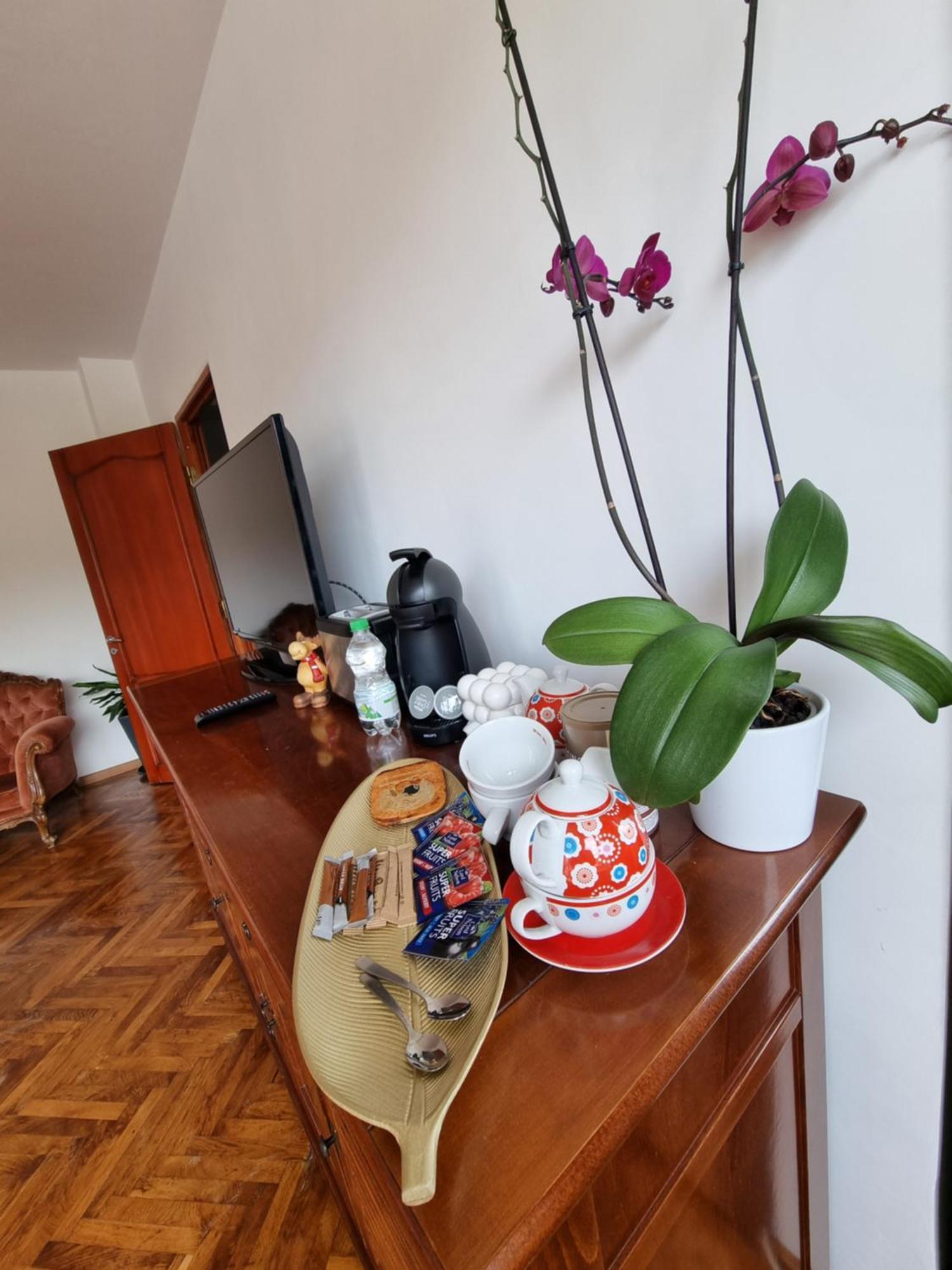 Toma Boutique Lägenhet Braşov Exteriör bild